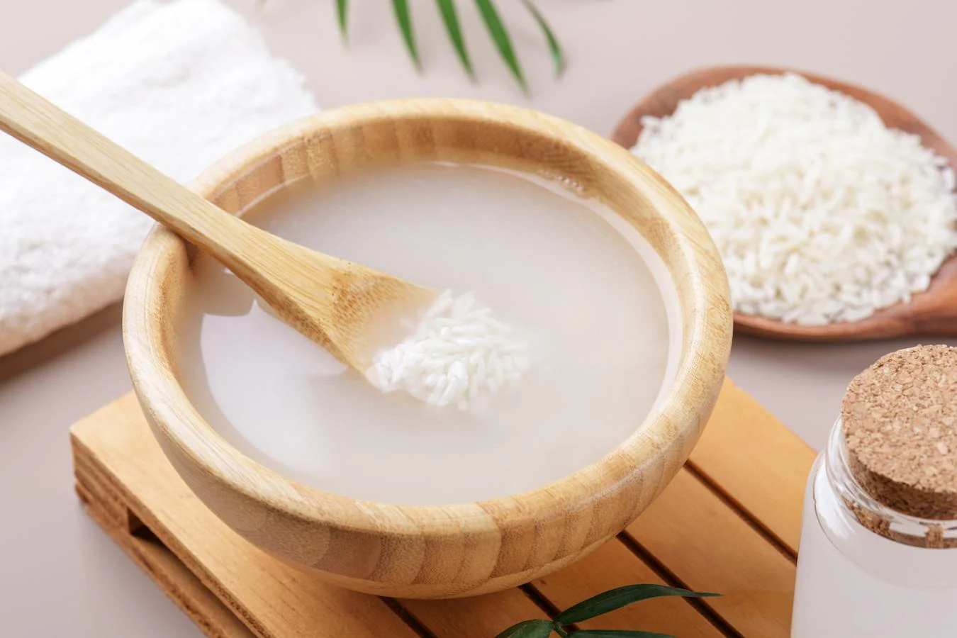 Best Rice Water Cleanser in India