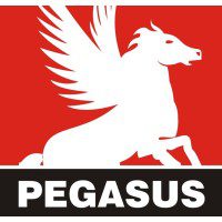 Pegasus Farmaco India Pvt. Ltd. 