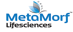 Top 10 Betamethasone Cream Manufacturers in India